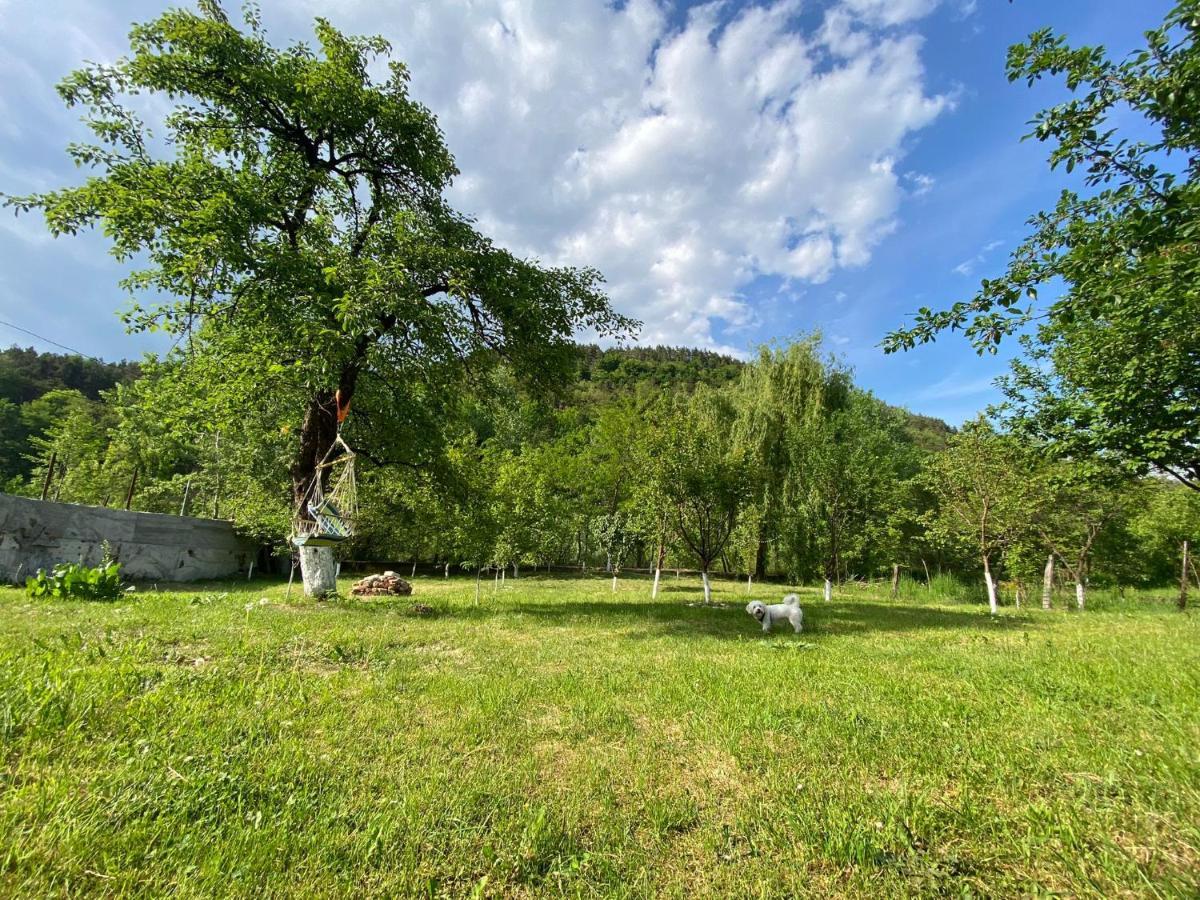 Casa Carbunaru Tîrgu Ocna Εξωτερικό φωτογραφία