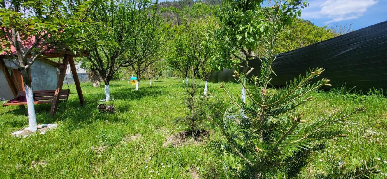 Casa Carbunaru Tîrgu Ocna Εξωτερικό φωτογραφία